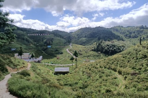 龙里刺梨沟景区