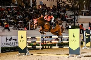 贵阳国际马术运动中心11月13日启幕在即 18匹赛马已安抵筑城